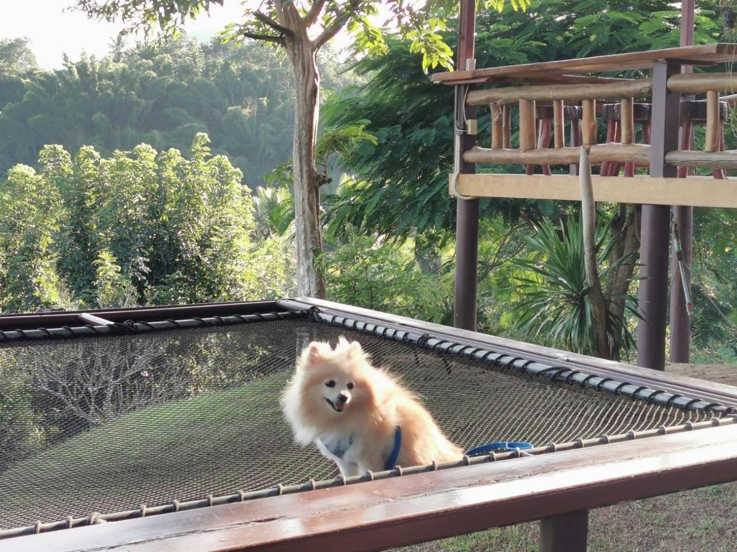 Baanrai Khunya บ้านไร่คุณย่า 塞友 外观 照片